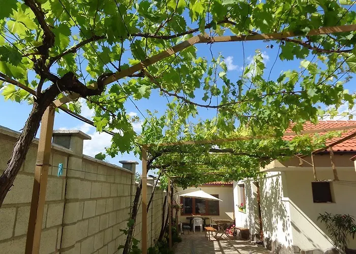 Guest Rusalka * كرانيفو